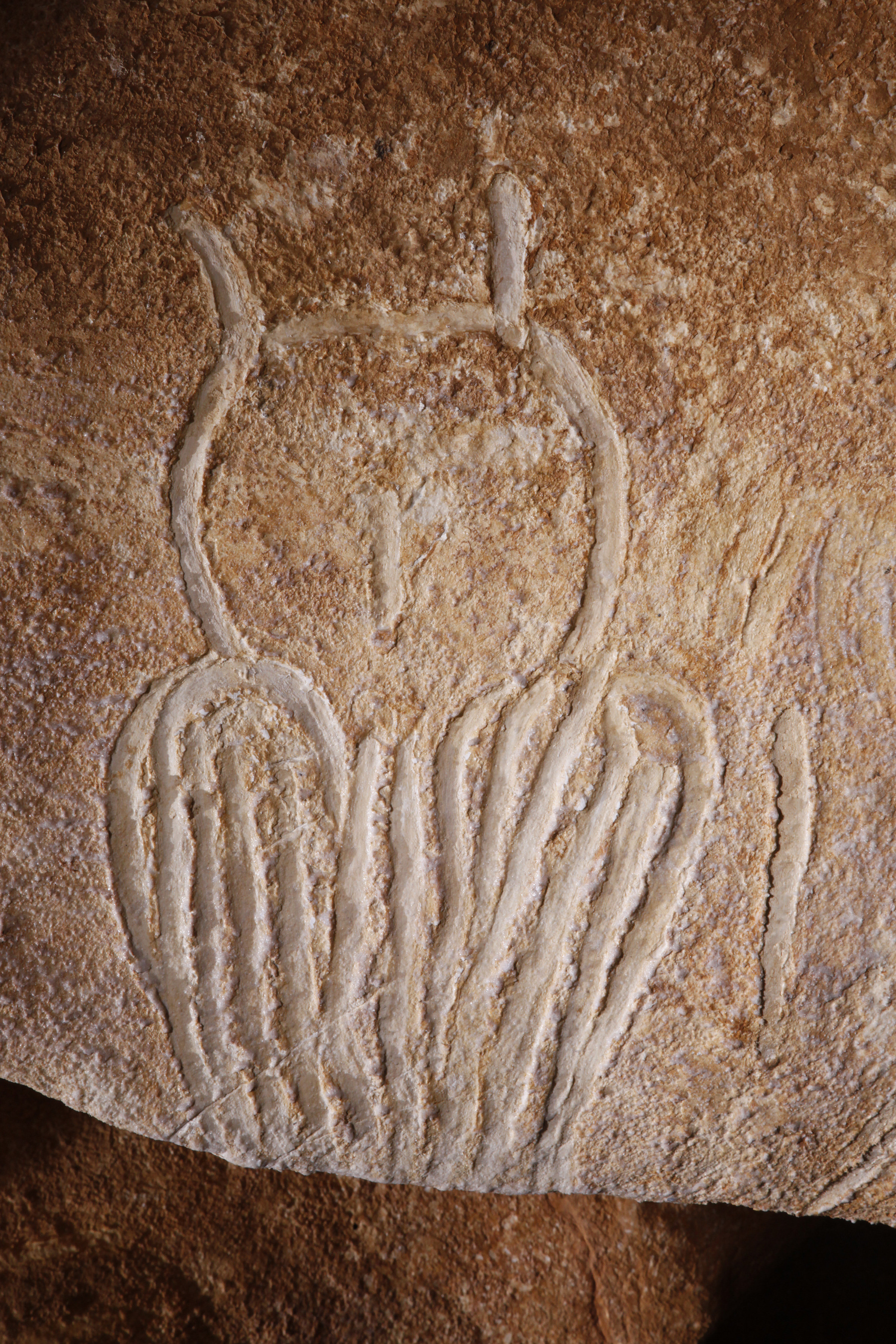 photo de la grotte de chauvet gravure rupestre représentant un hibou