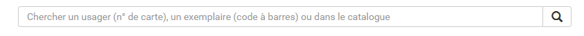 copie d'écran du module de recherche simple
