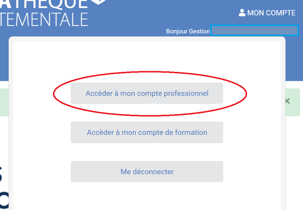 copie d'écran de la sous rubrique Mon compte accéder à mon compte professionnel