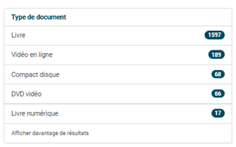 copie d'écran du contenu de la facette type de support
