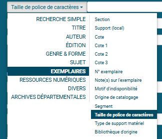 copie d'écran du formulaire de recherche avec filtre sur les gros caractères