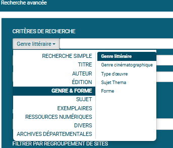 copie d'écran du formulaire de recherche avancée avec les filtres de genre