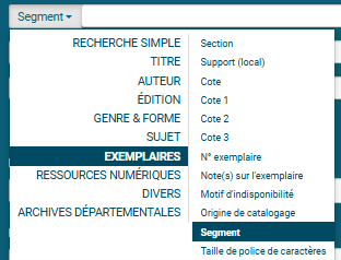 copie d'écran du formulaire de recherche avancée avec le filtre segment de collection